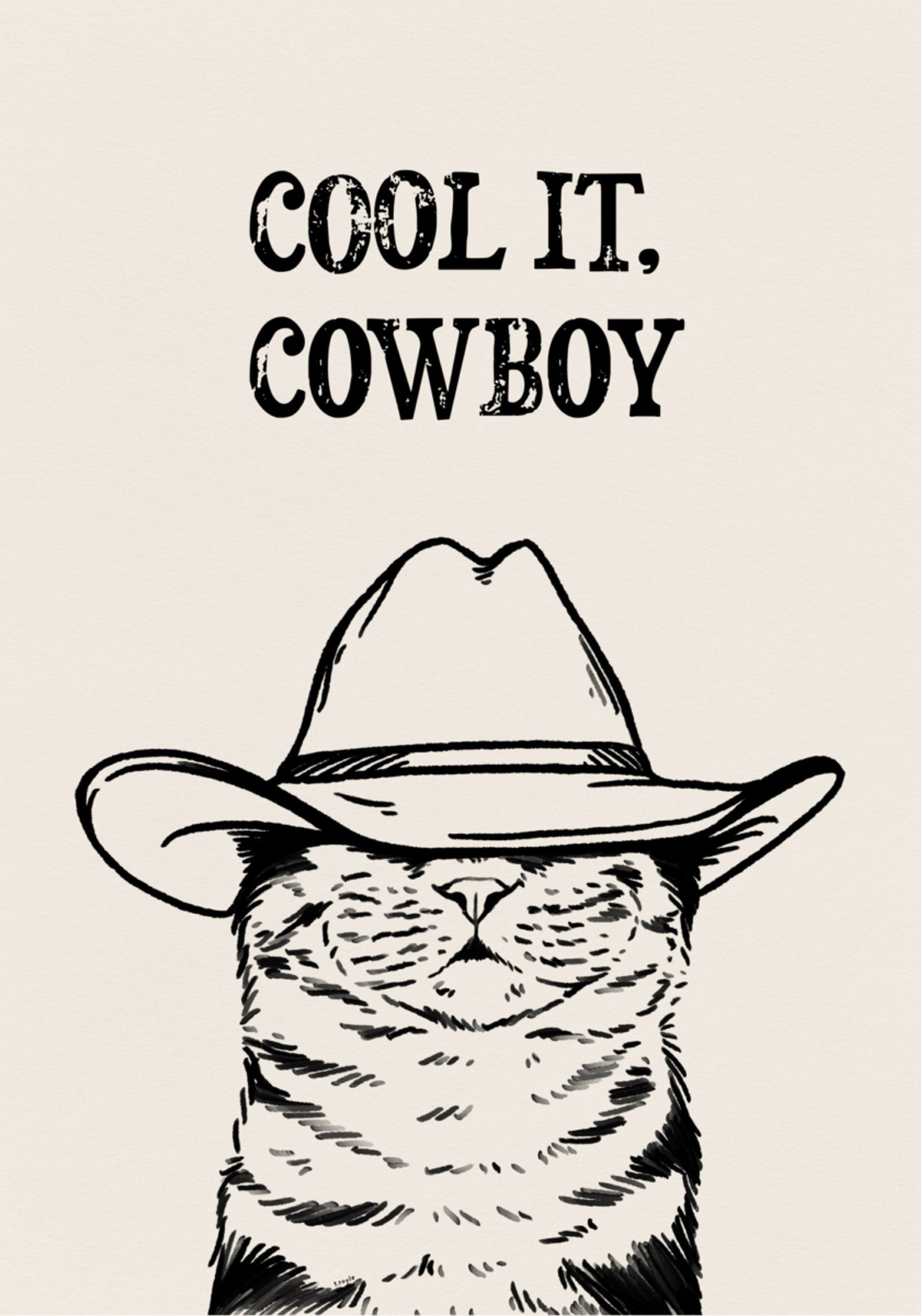 Legal, gato cowboy