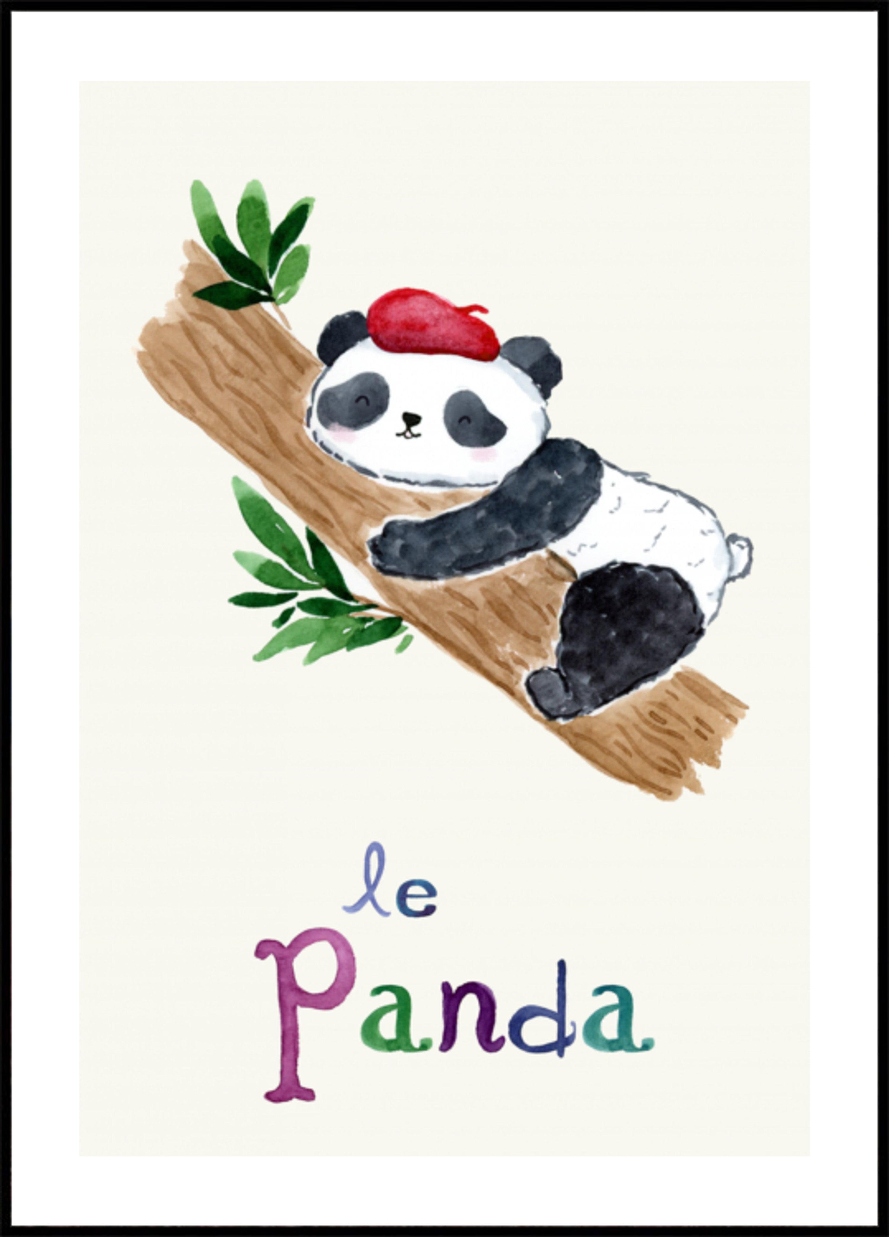 Panda Francês Adormecido