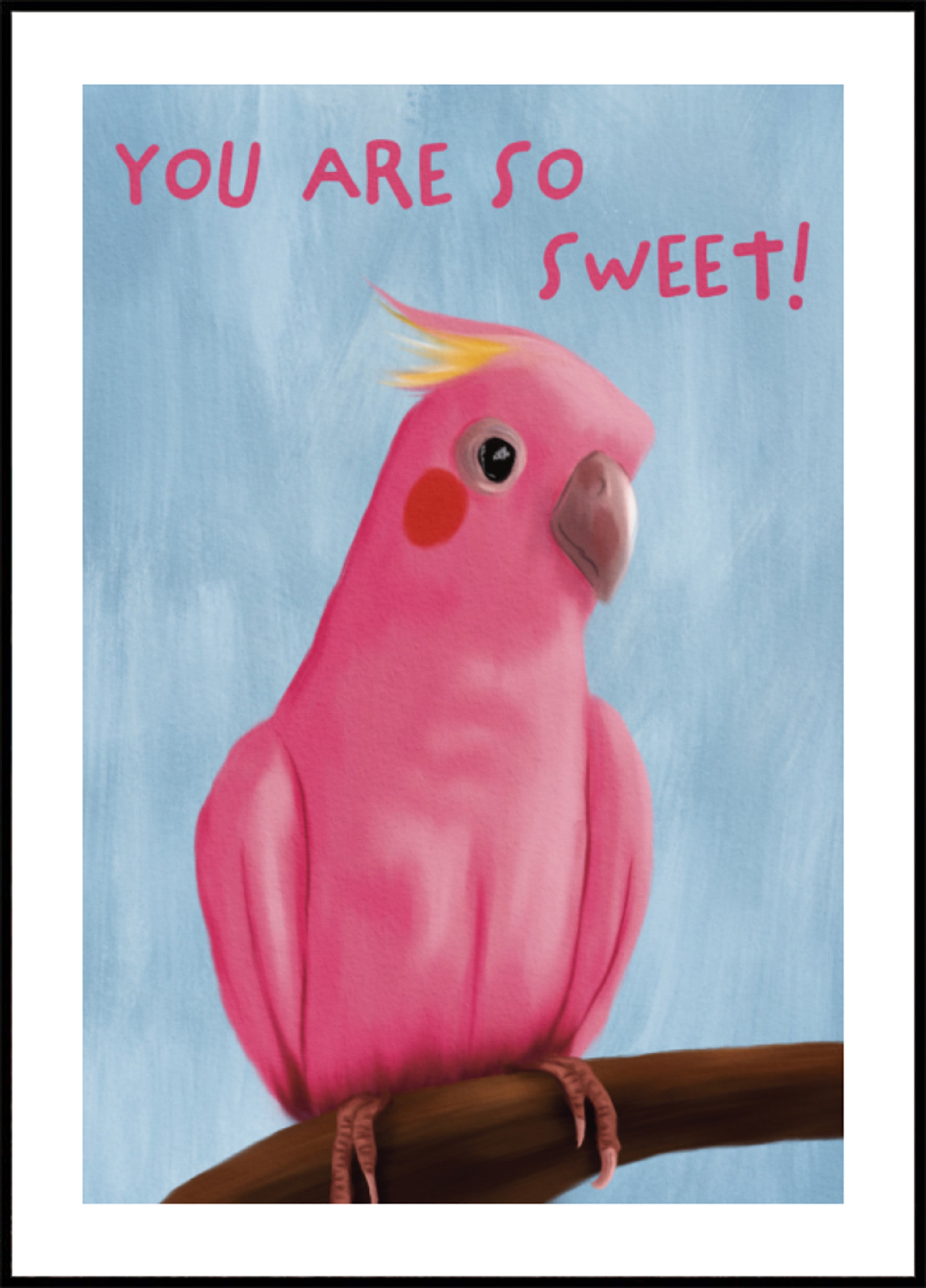 Galah rosa doce