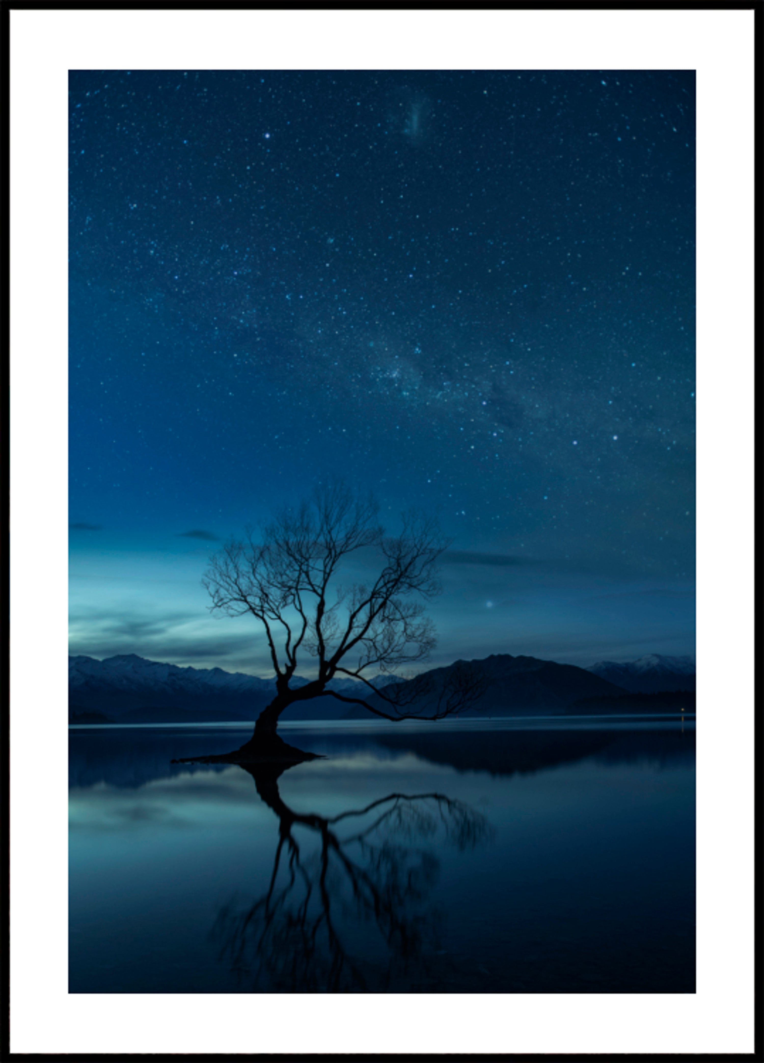 Árvore Solitária Noite Estrelada