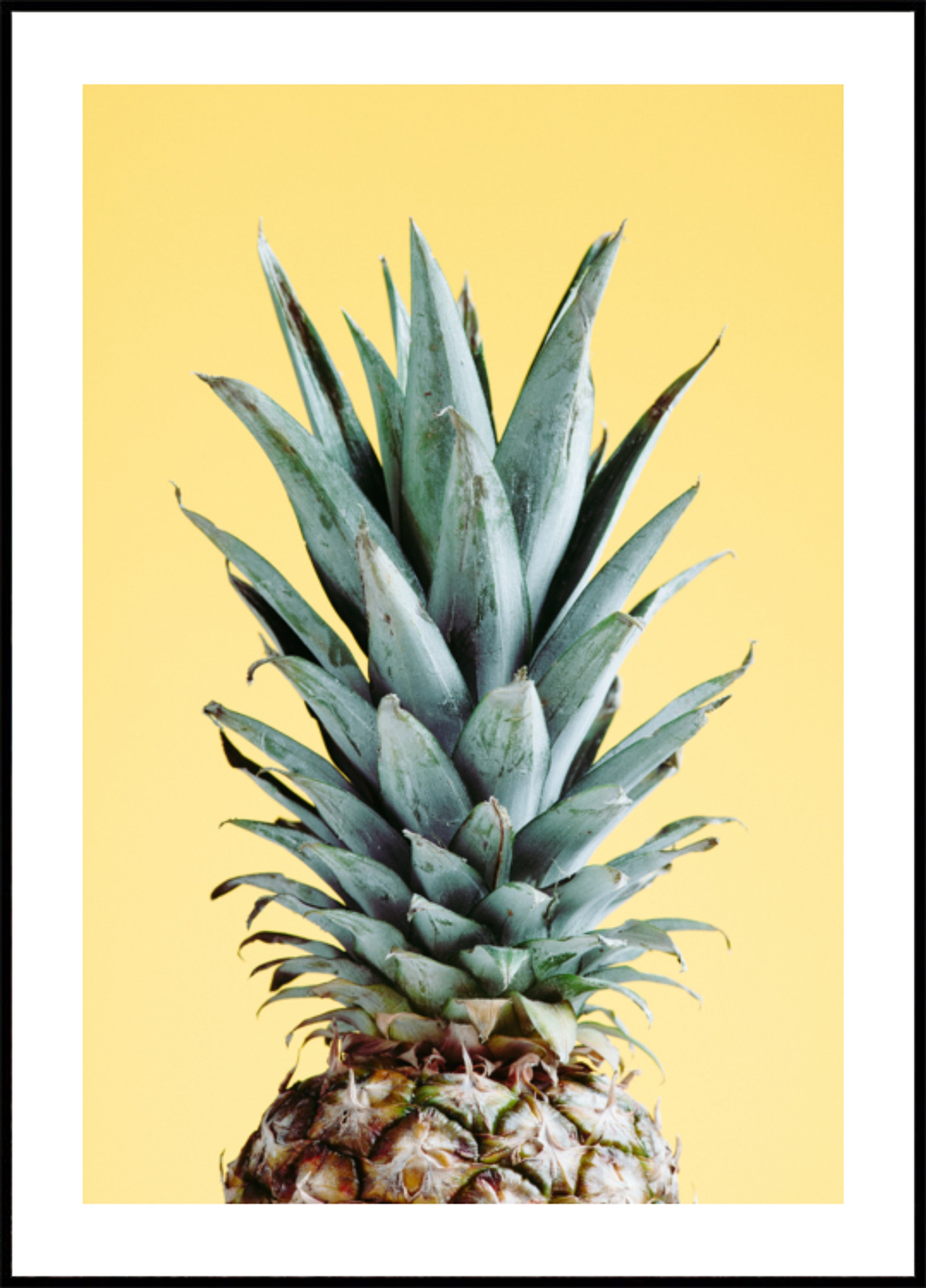 Abacaxi Tropical Amarelo