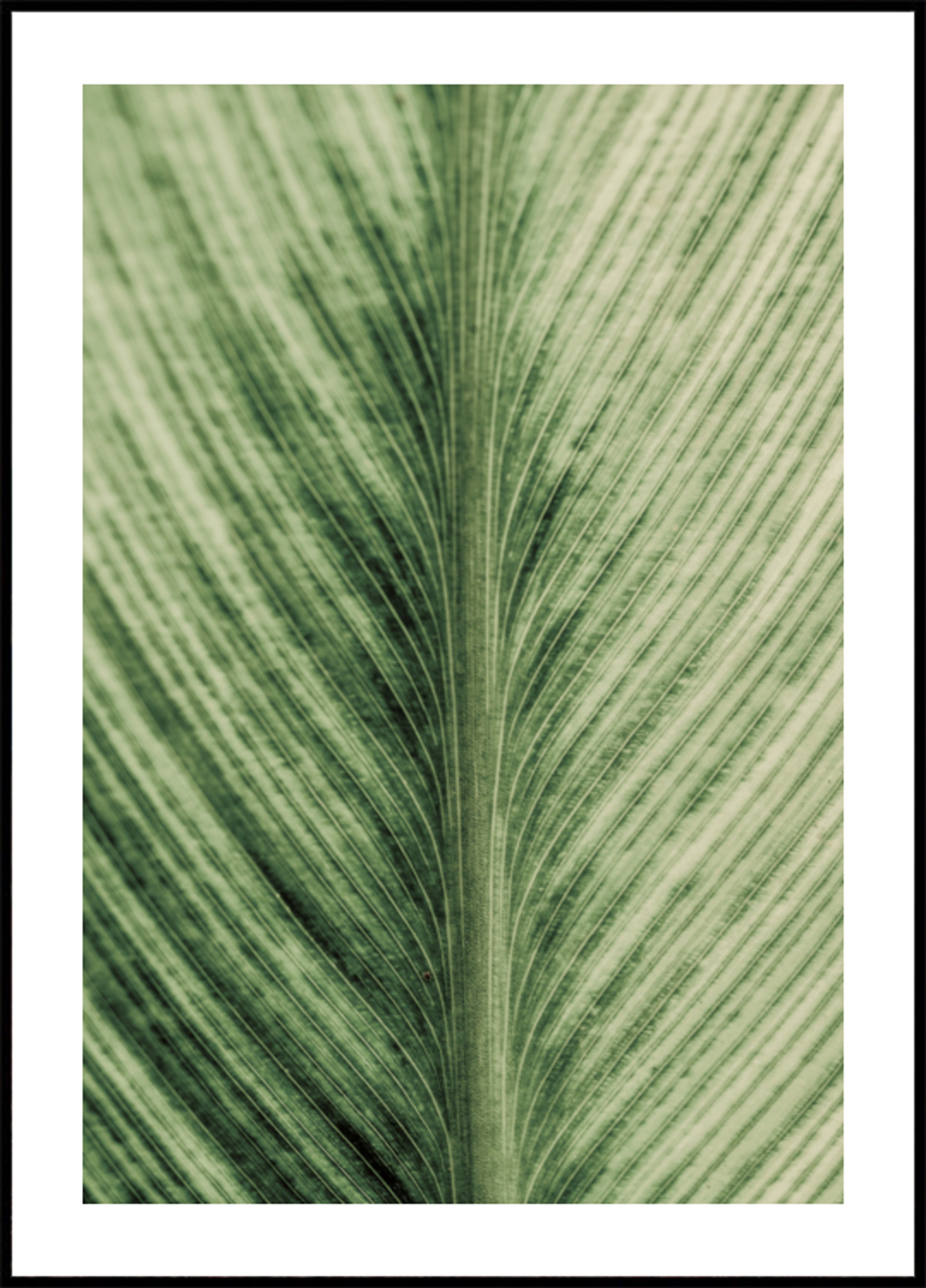 Veias Verdejantes