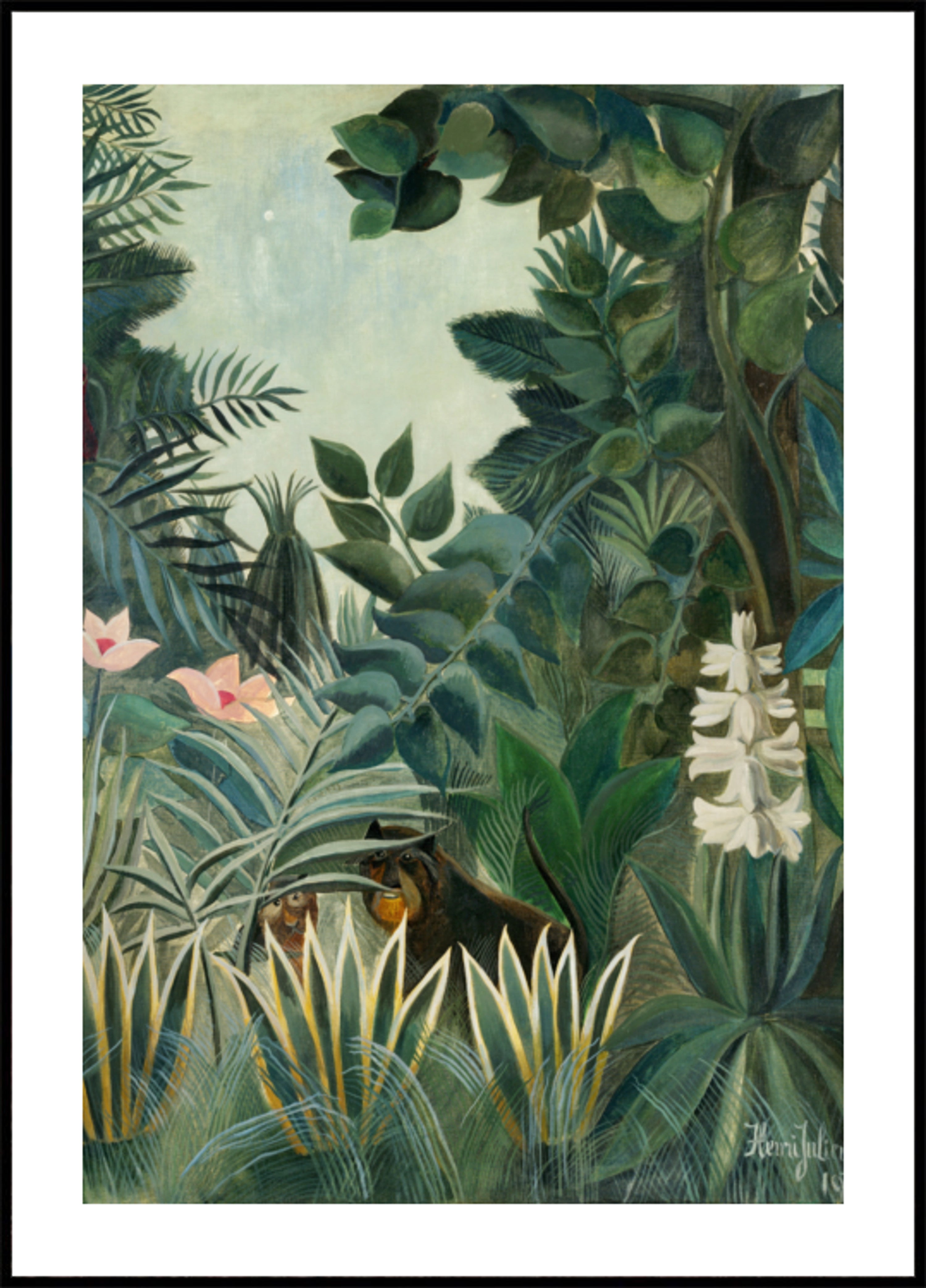 A Selva Equatorial