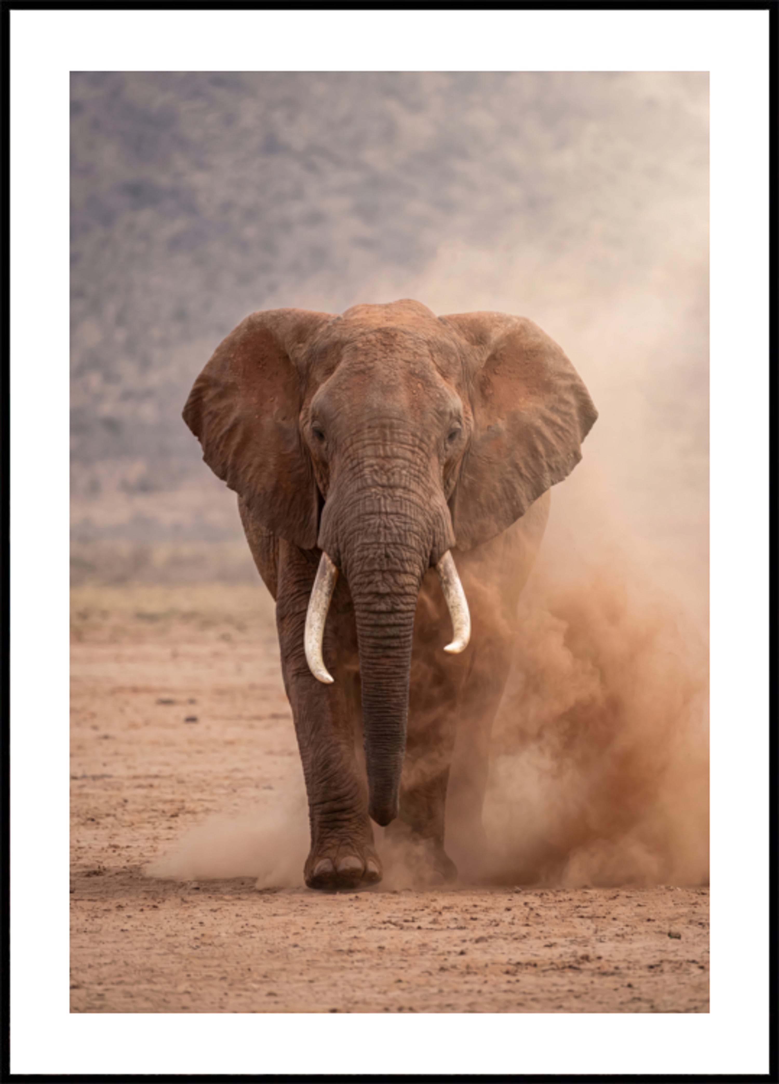 Elefante empoeirado poderoso