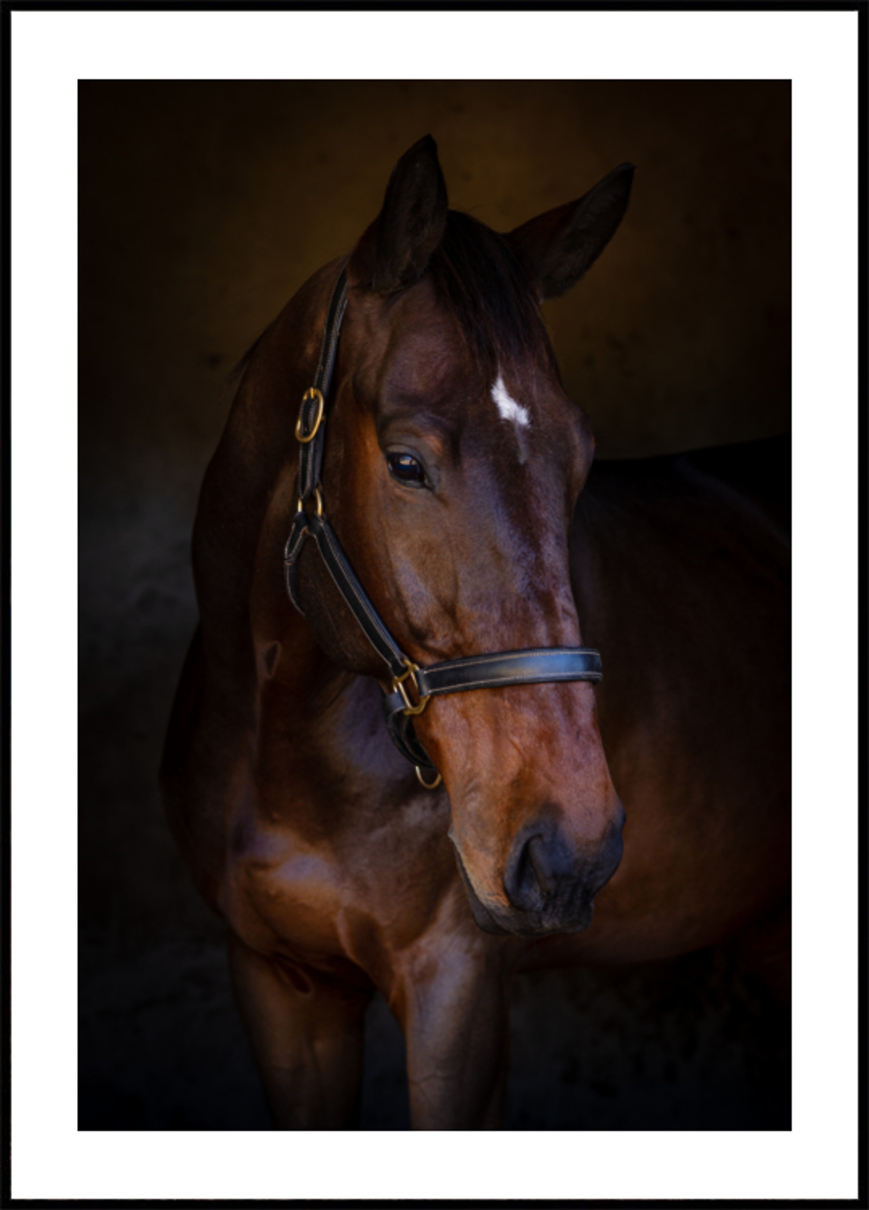 Retrato de cavalo majestoso