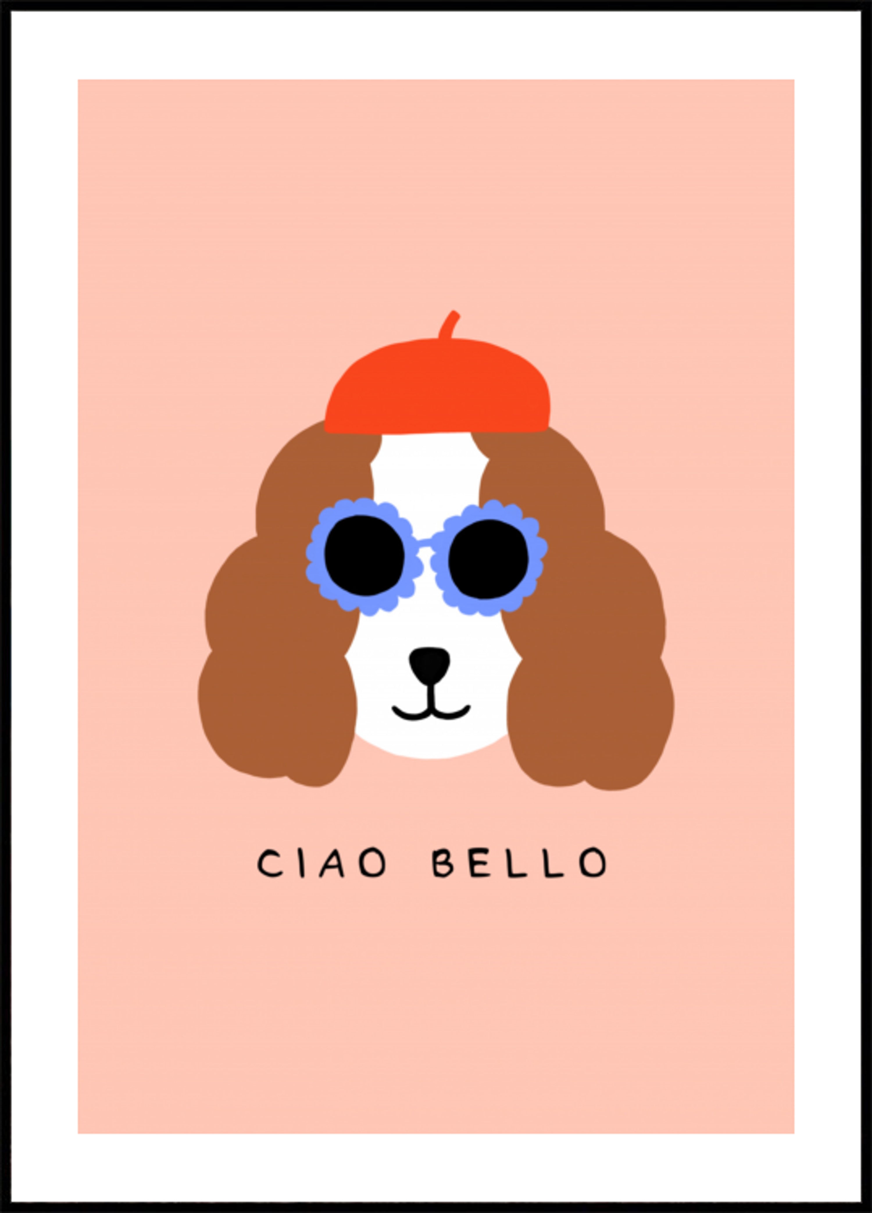Tons elegantes de boina para cachorro