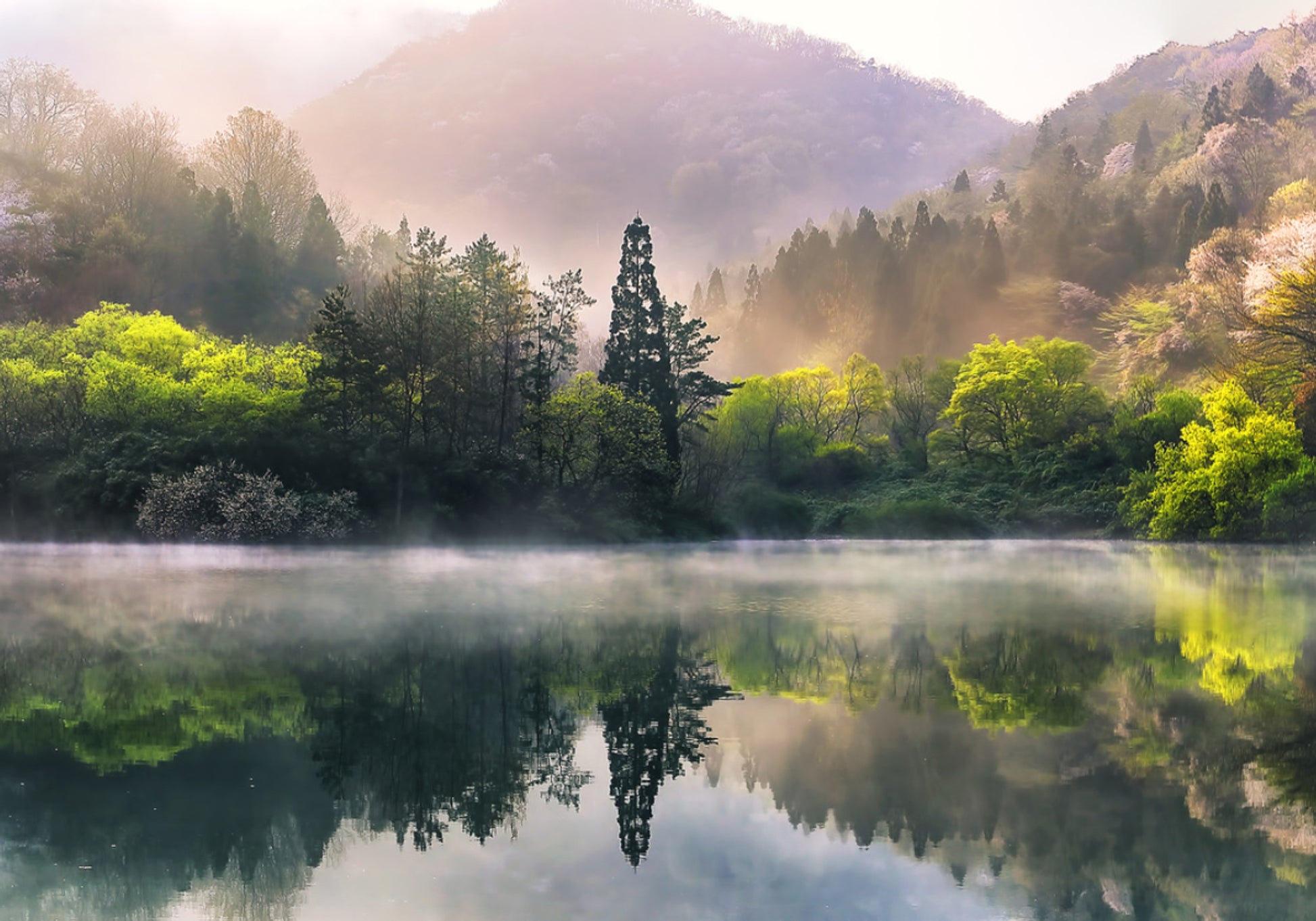 Reflexo do lago enevoado Spring