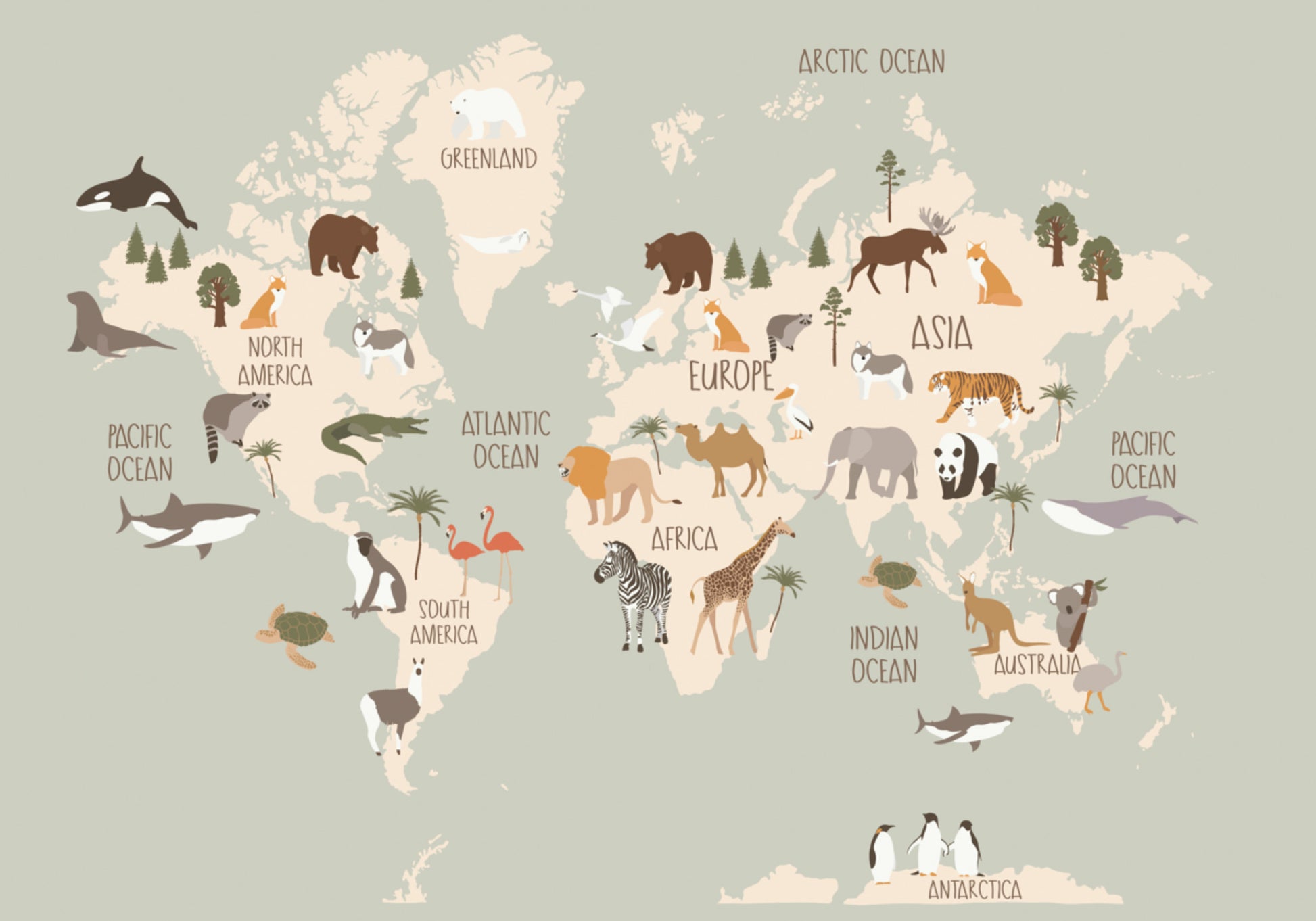 Mapa Mundial da Vida Selvagem