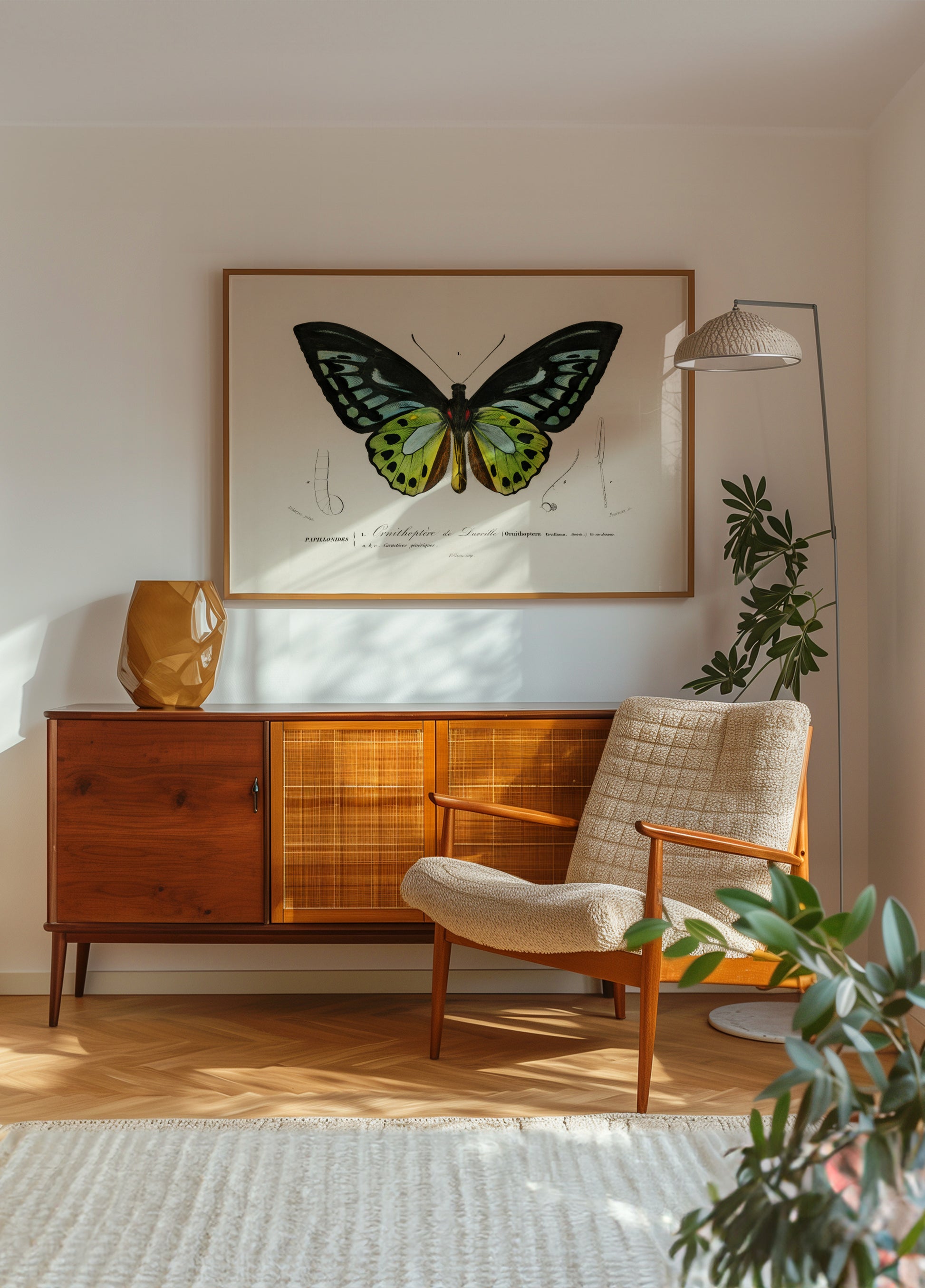 Borboleta Asa de Pássaro Verde