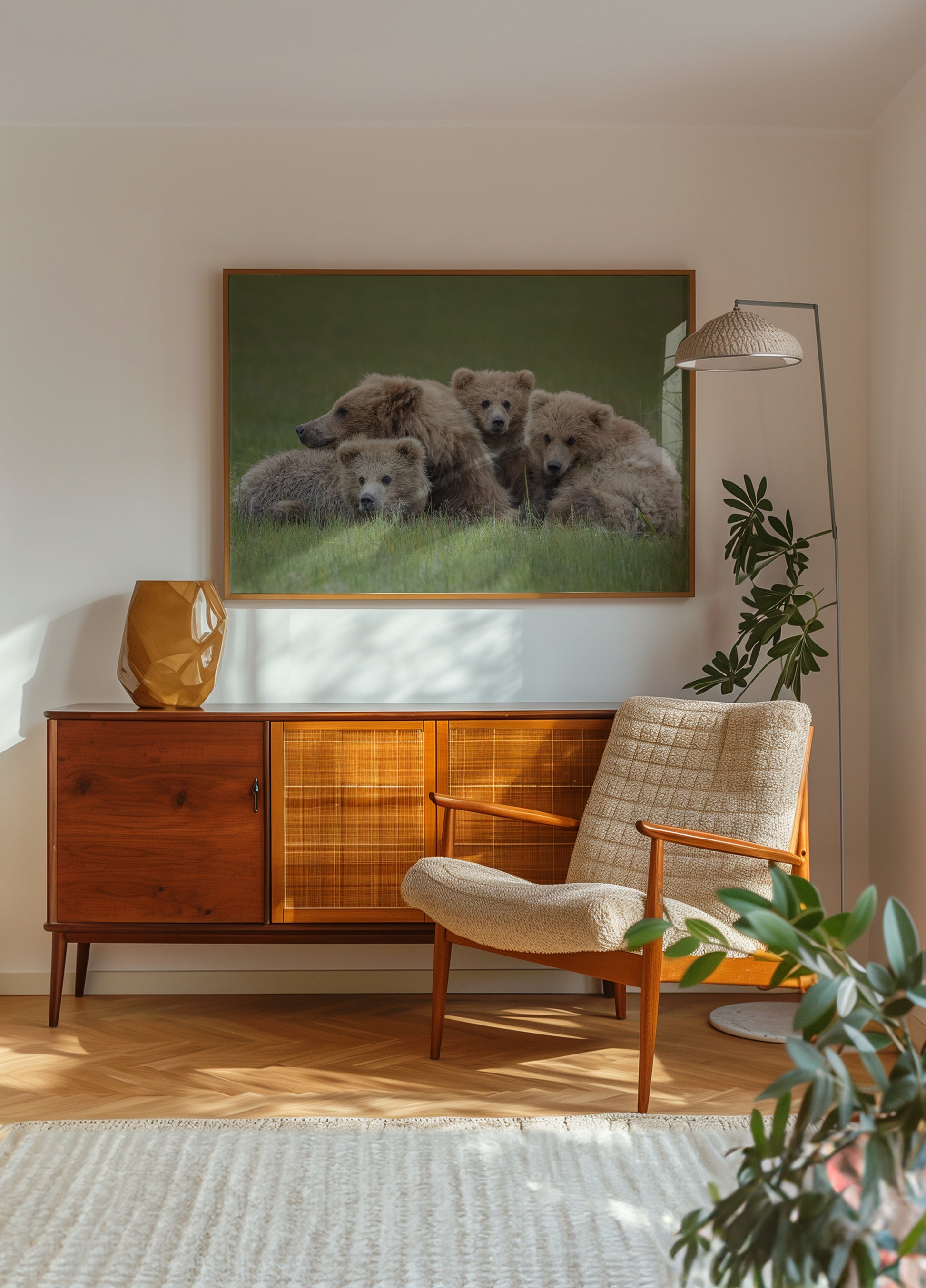 Família Urso Pardo