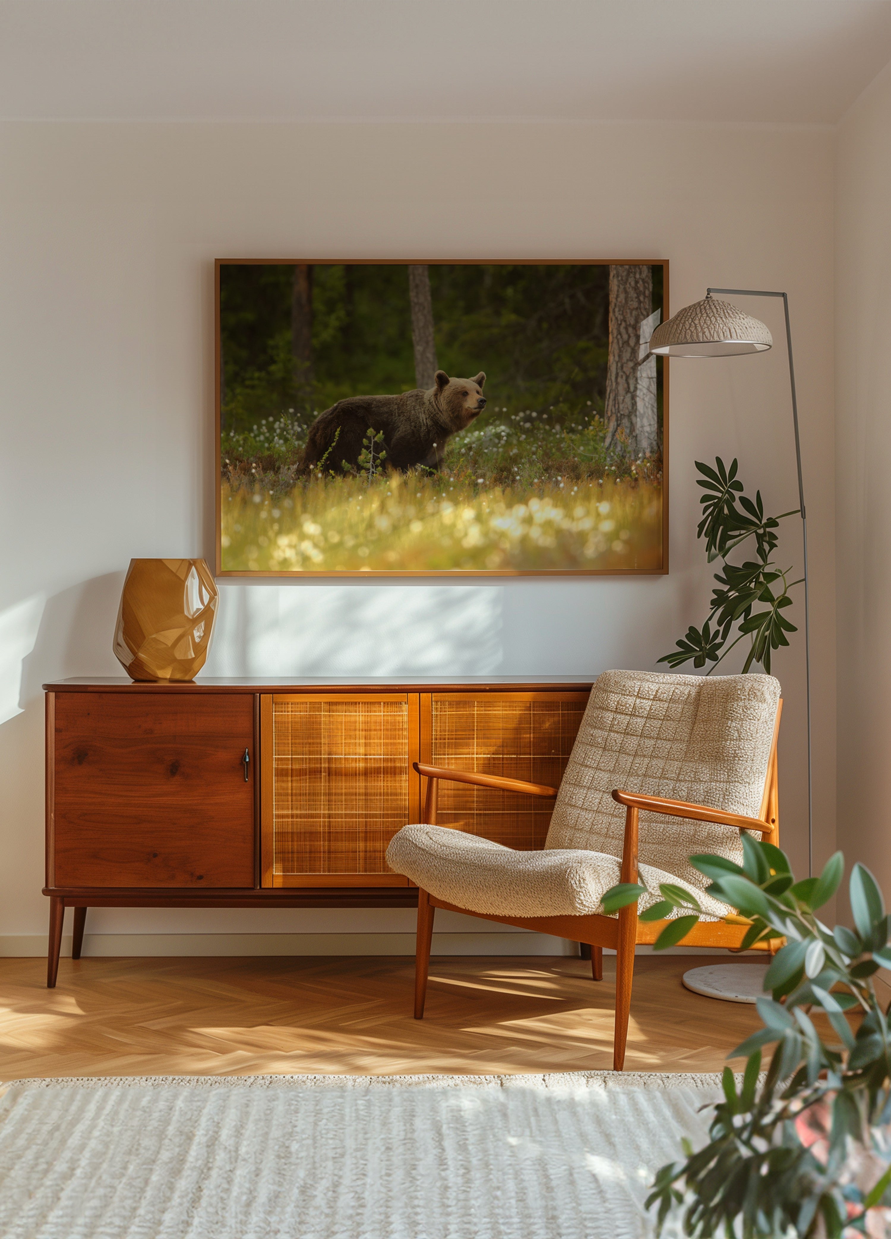 Urso Pardo Na Floresta