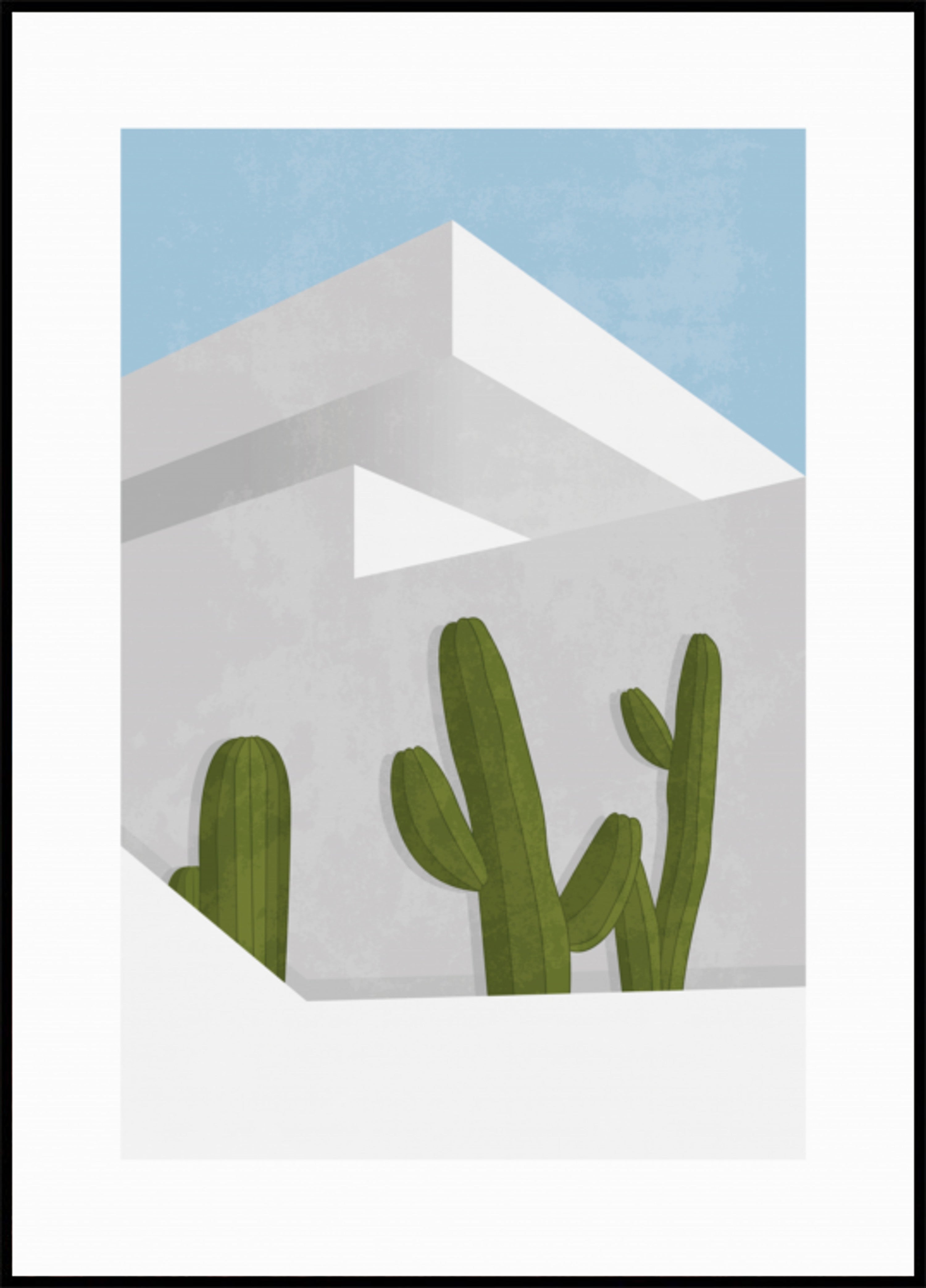 Cactos minimalistas do deserto
