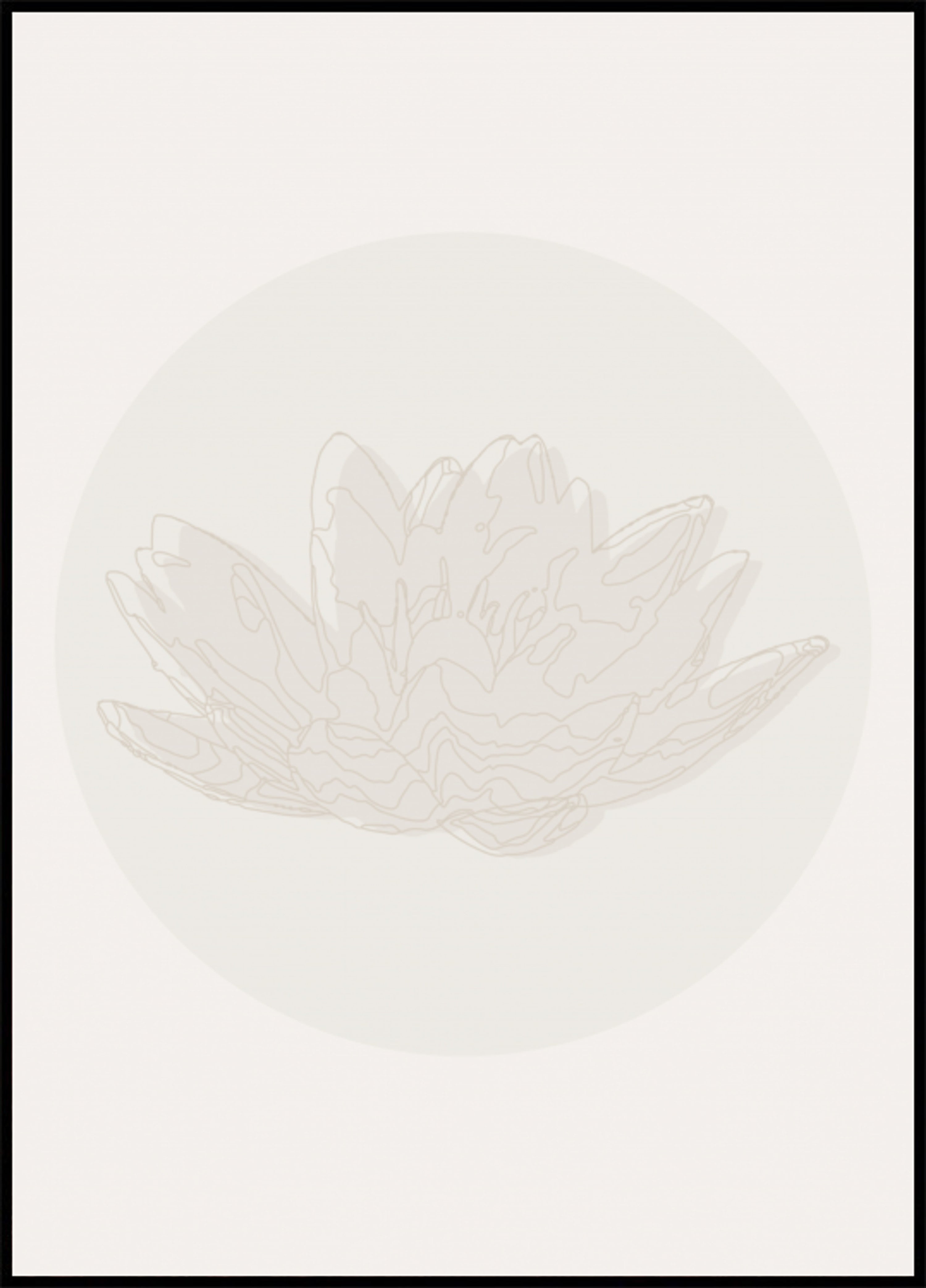 Flor de Lótus Serena