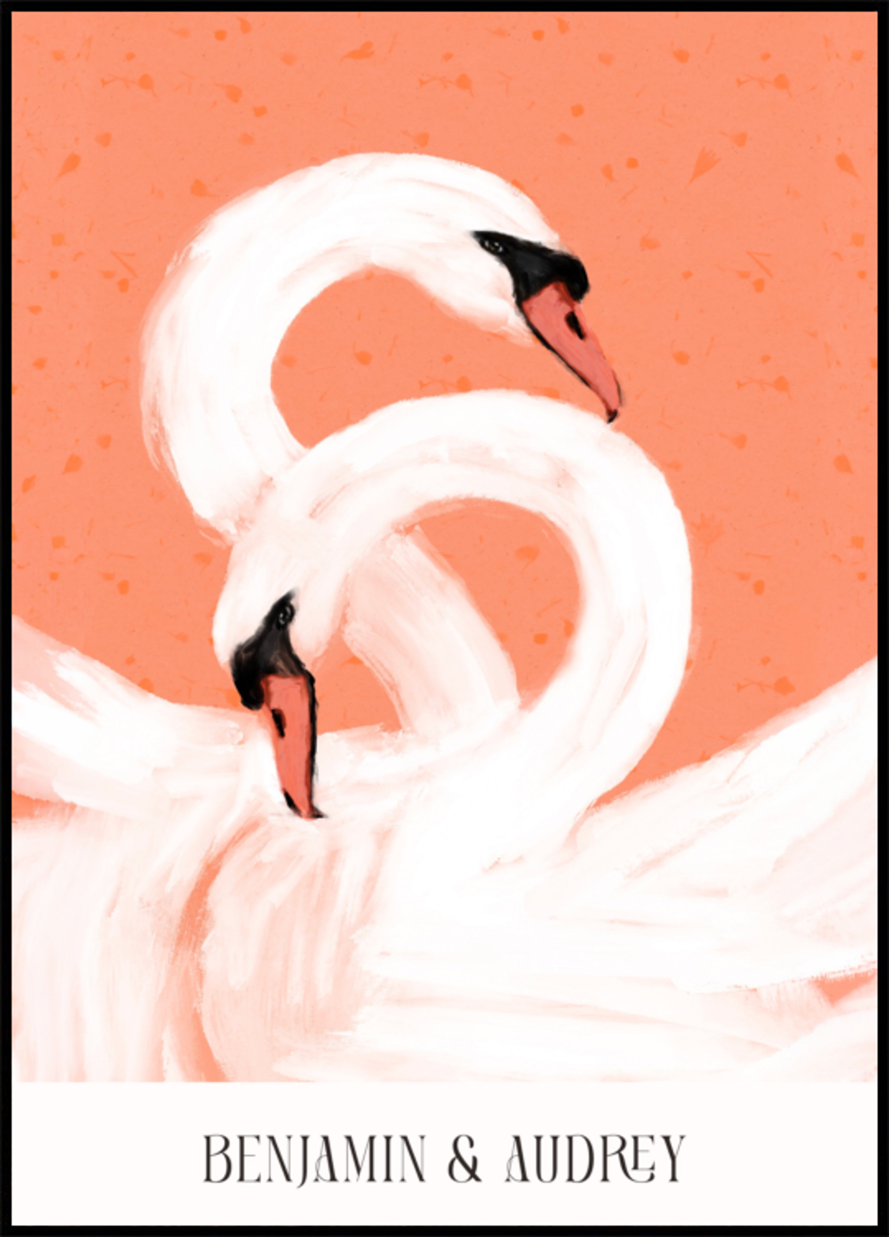 Cisnes elegantes em fundo coral