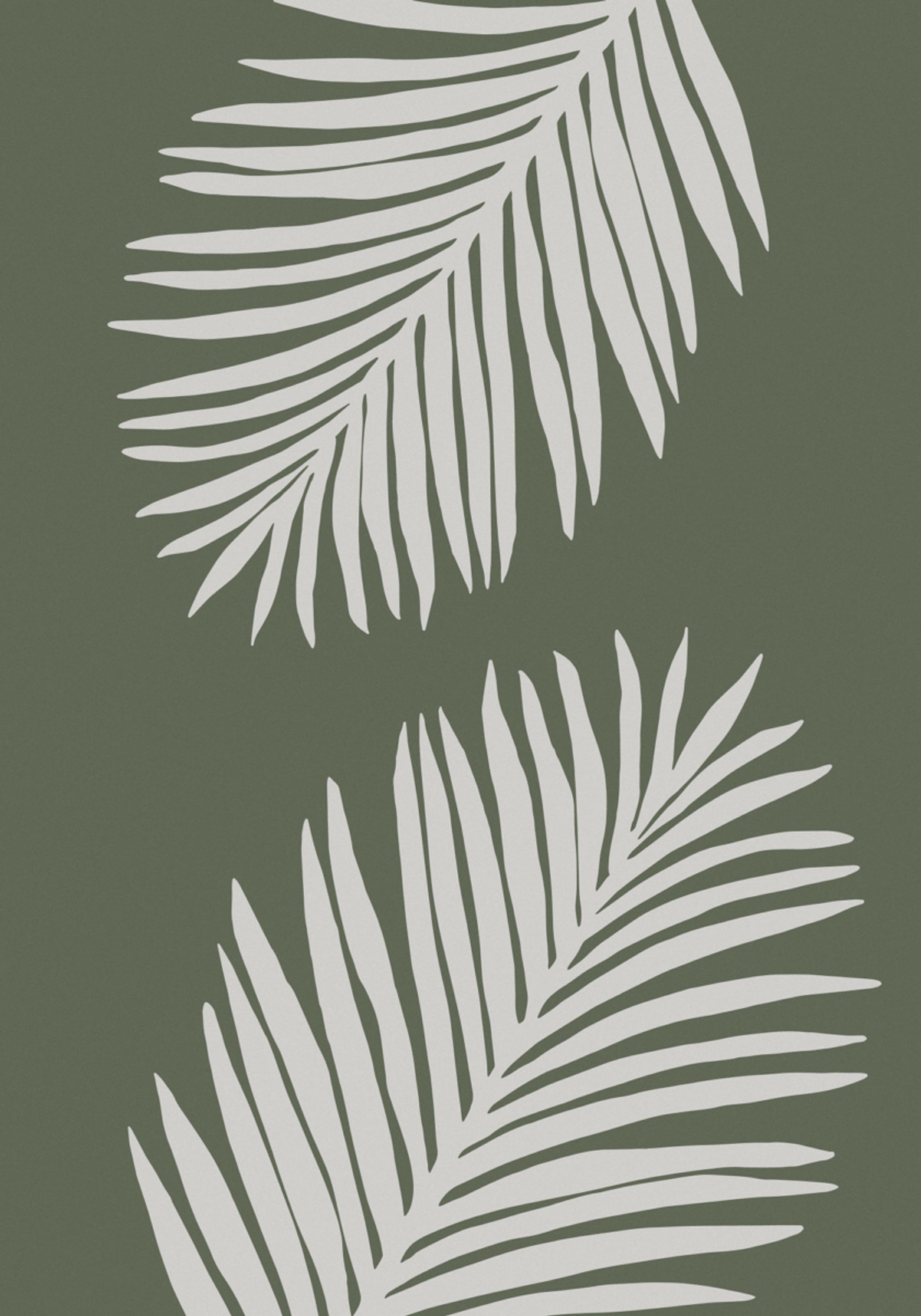 Folhas de palmeira serenas
