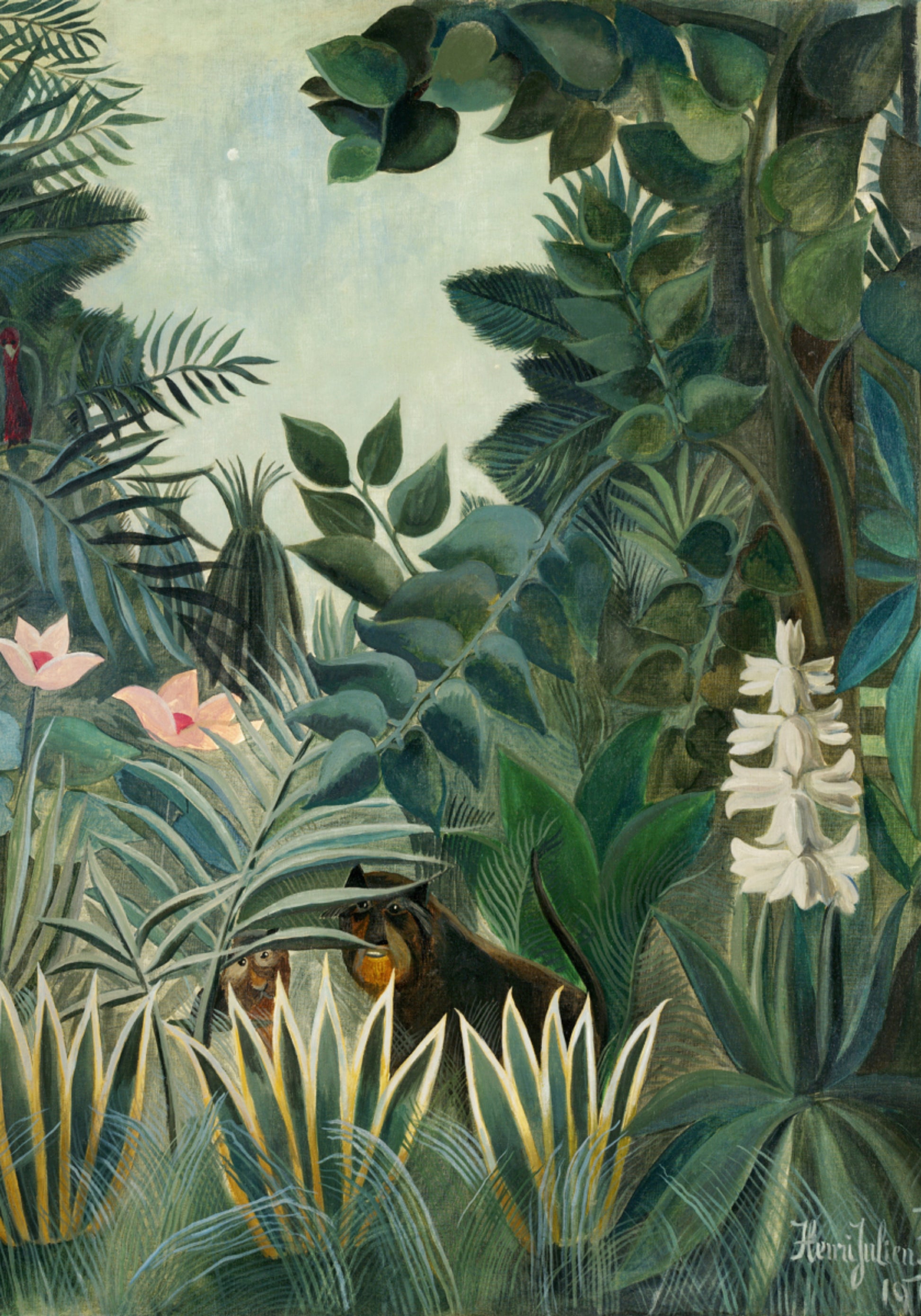 A Selva Equatorial