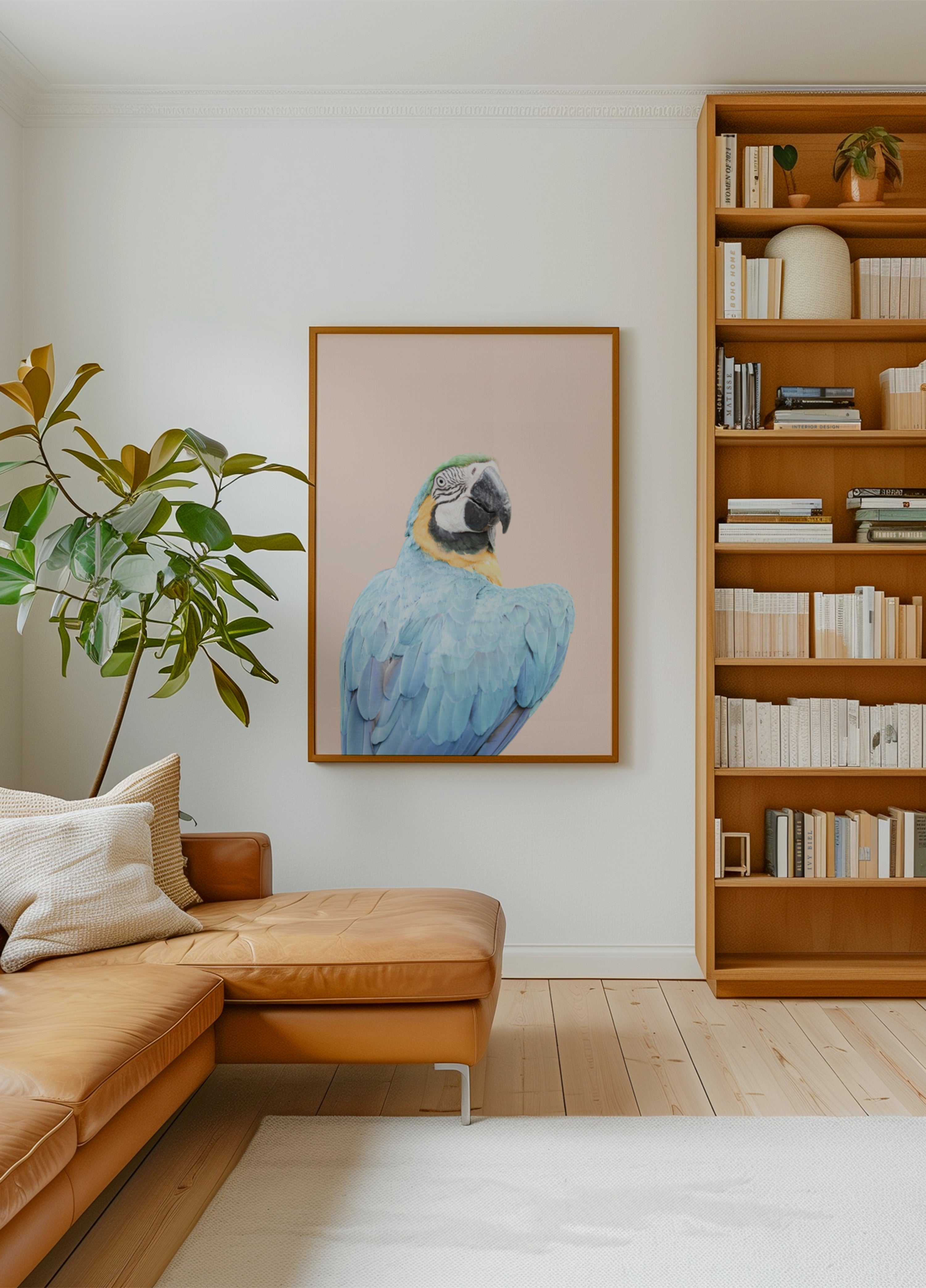 Arara Azul