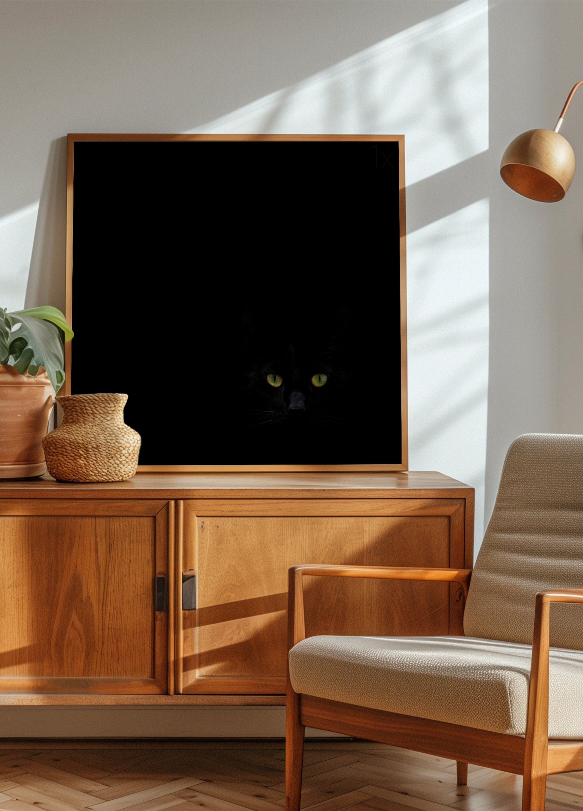 Olhar do Gato Preto