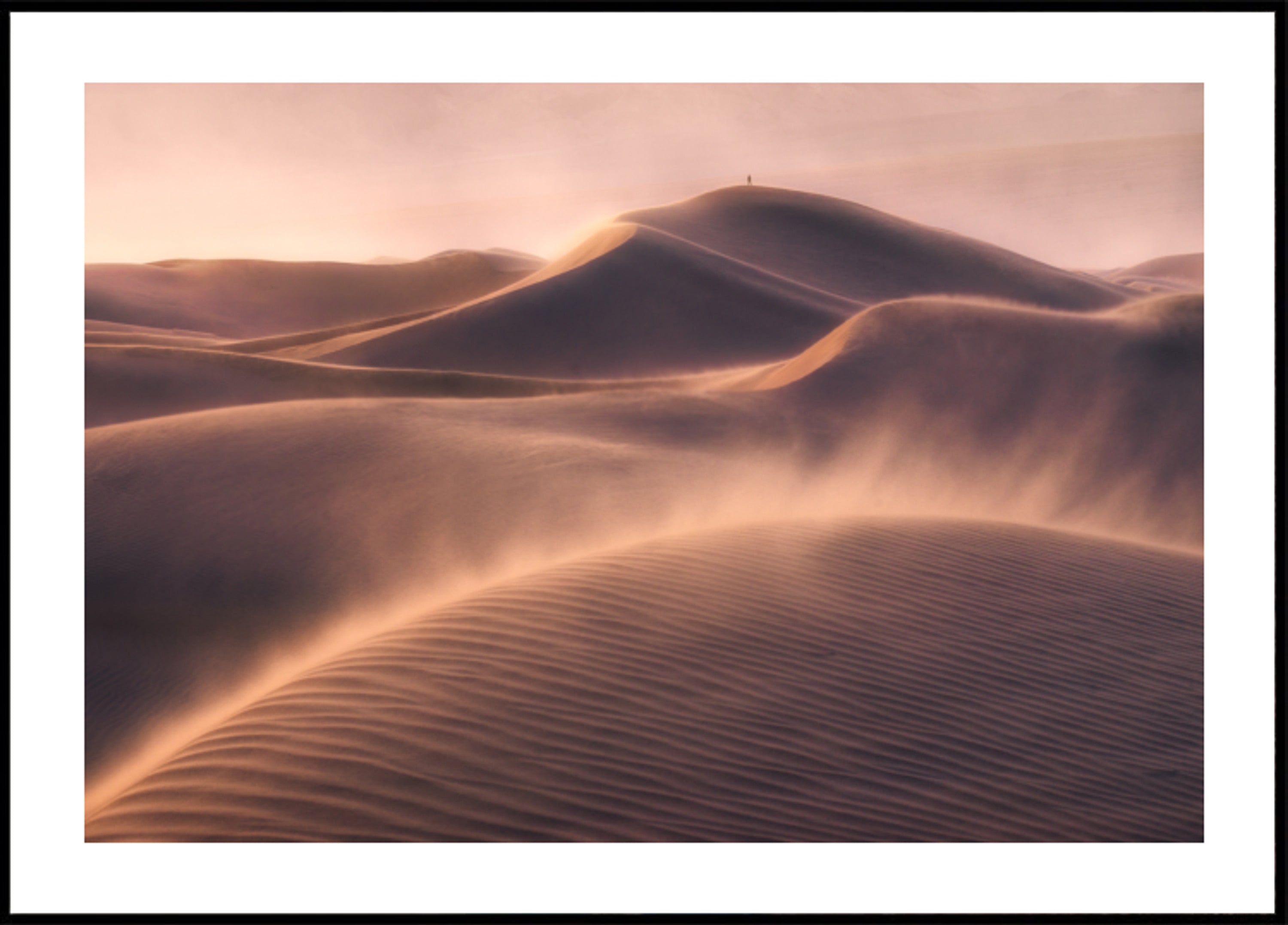Solidão do Deserto Dourado