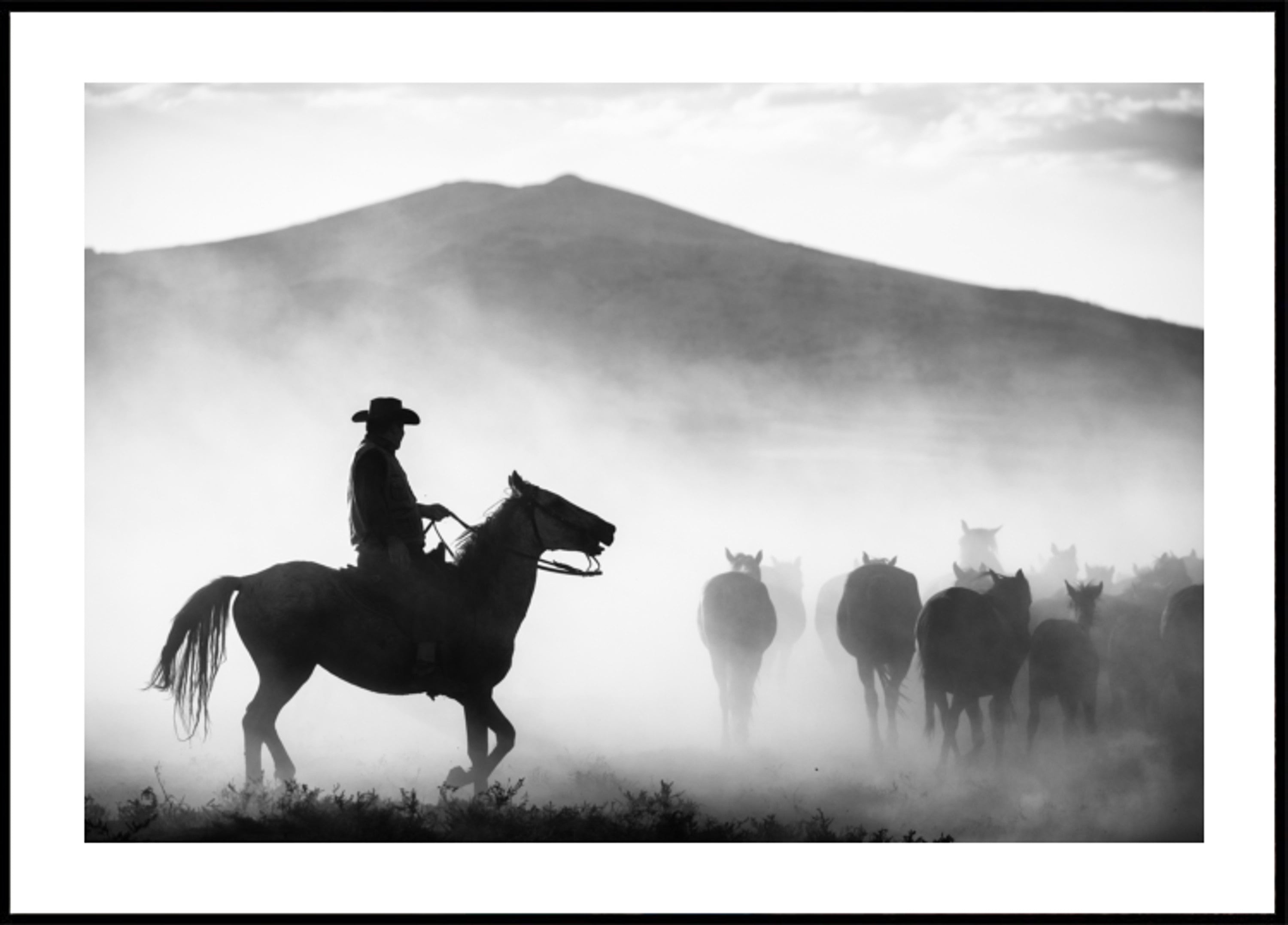 Cowboy pastoreando cavalos