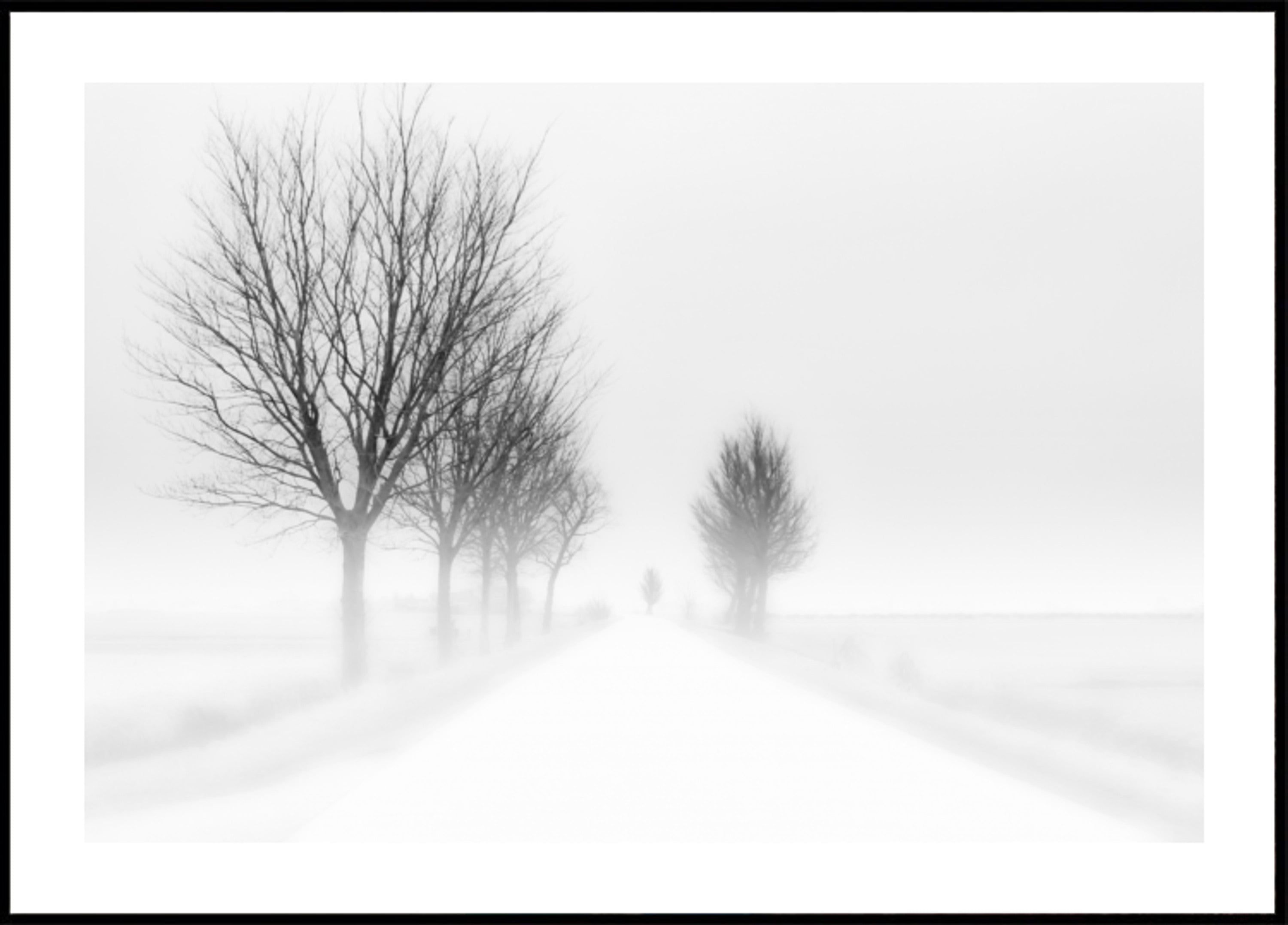 Estrada enevoada de inverno