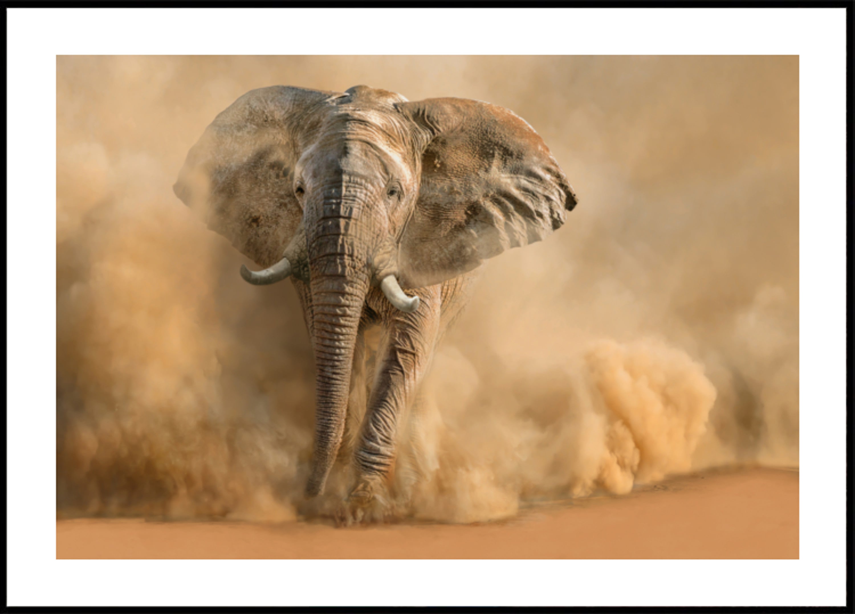 Nuvem de poeira majestosa de elefante