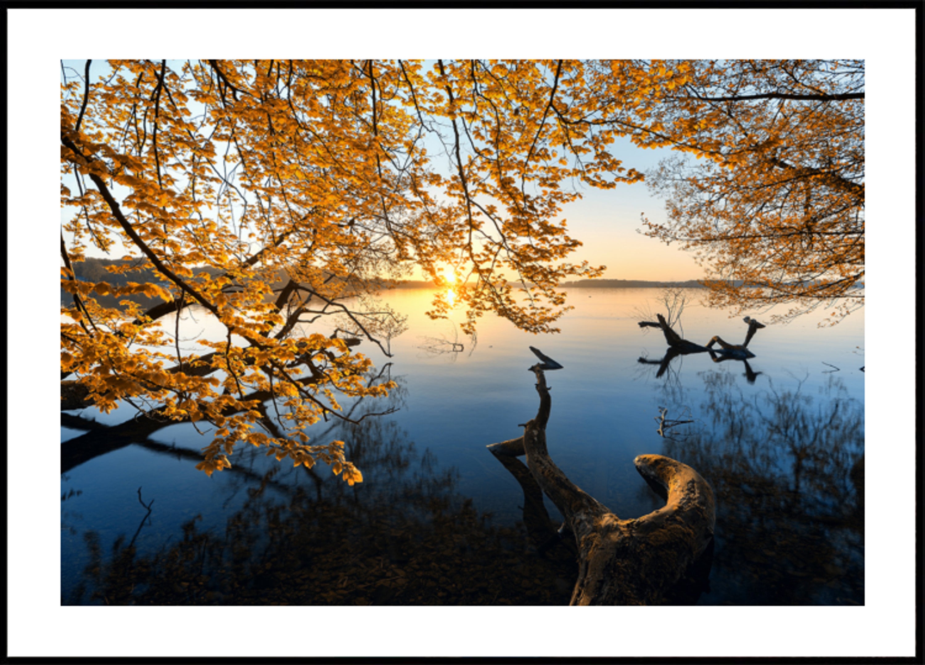 Nascer do sol dourado do lago outono