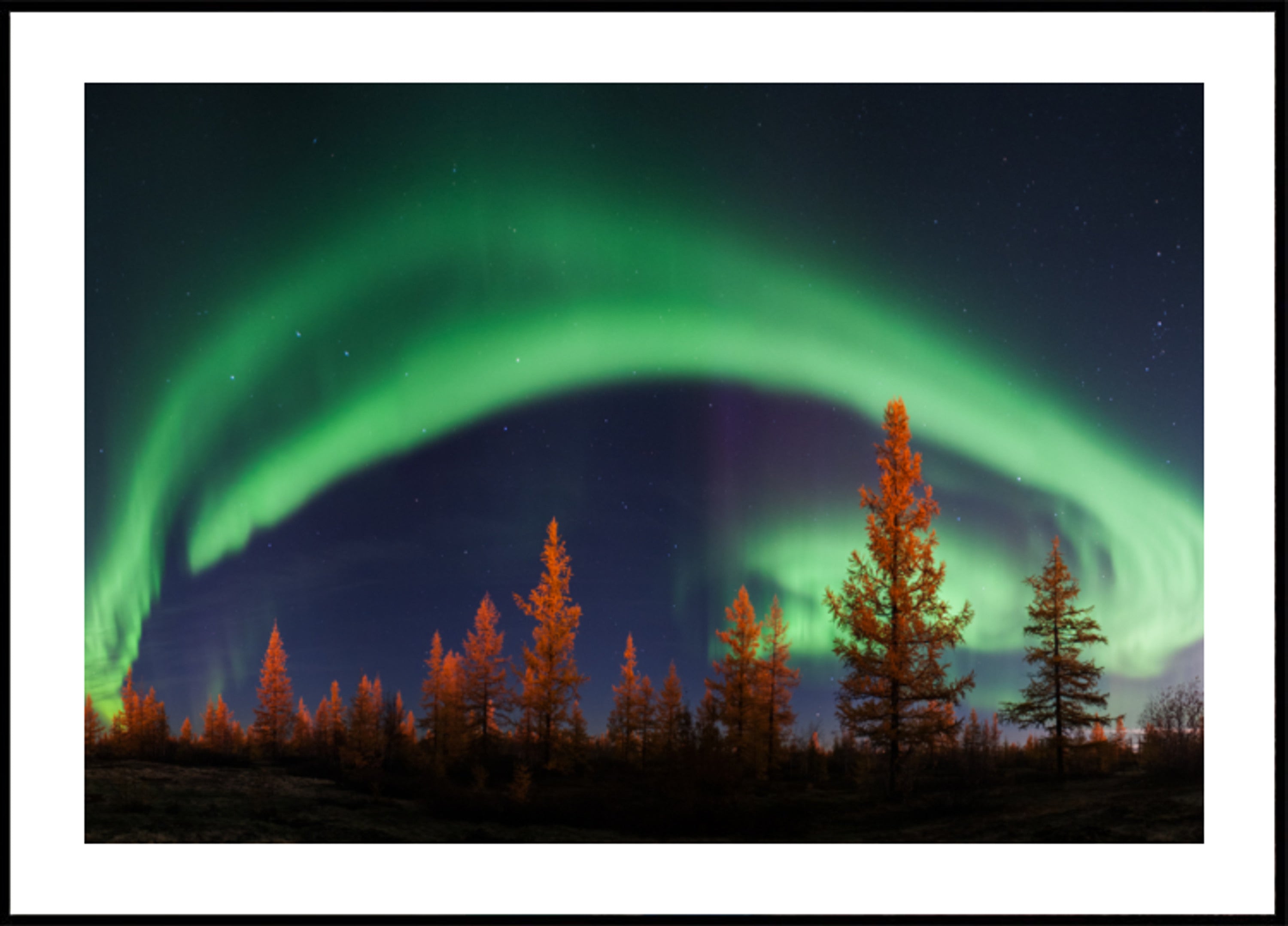 Céu noturno vibrante da Aurora