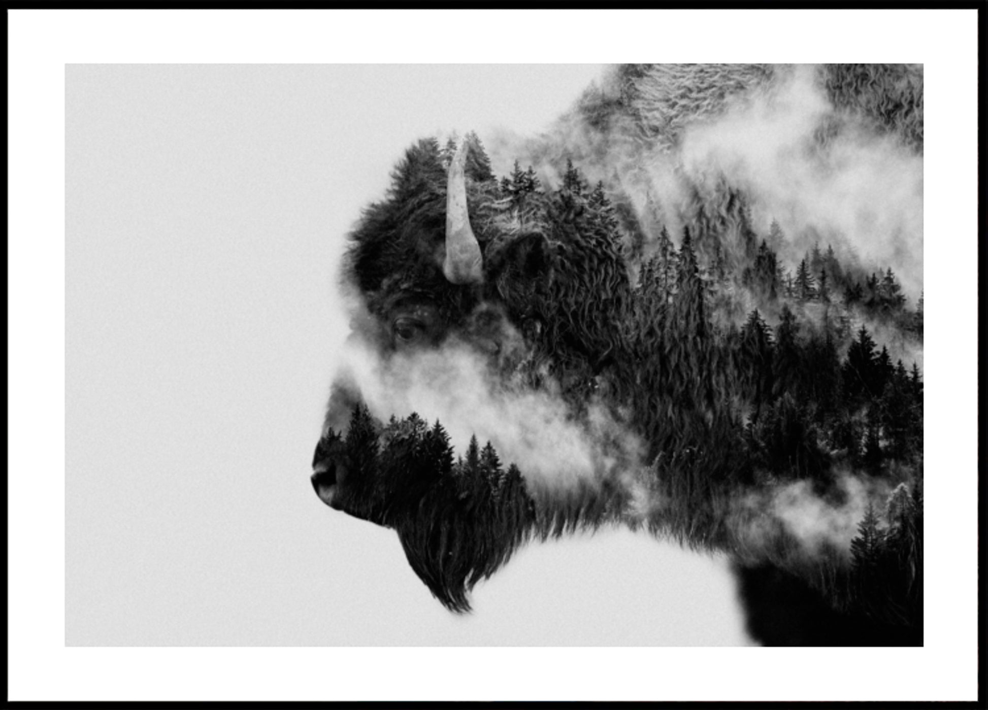 Espírito do Bisonte da Floresta
