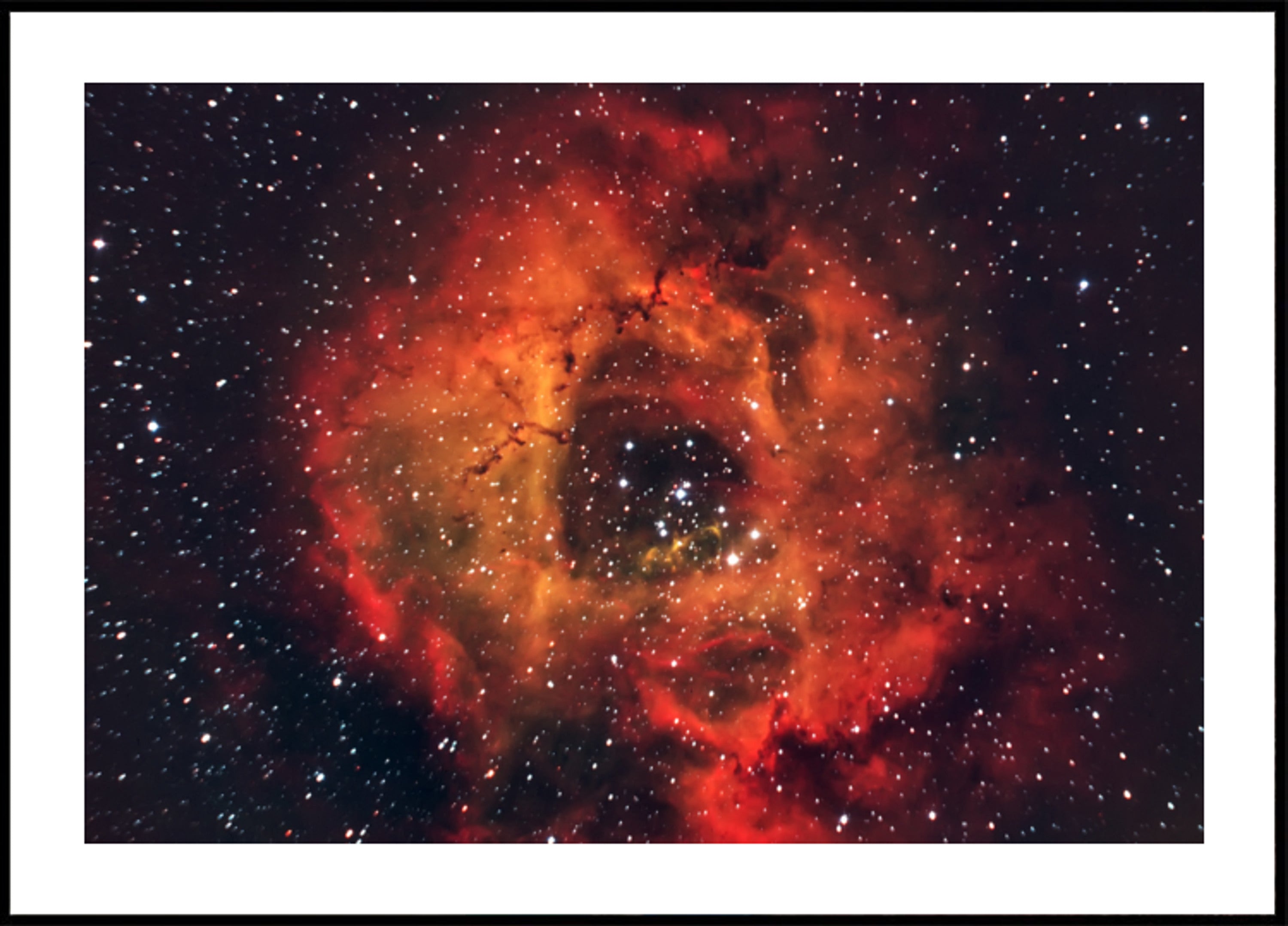 Nebulosa Rosa Cósmica