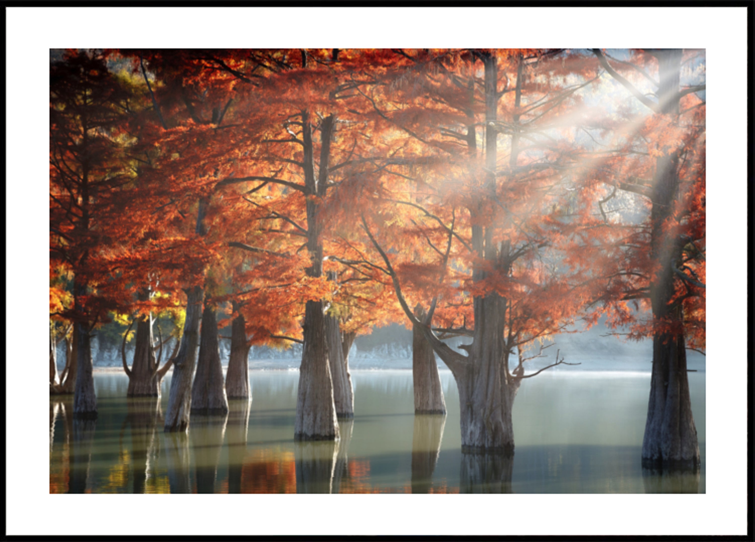 Lago Cipreste da Queda Dourada