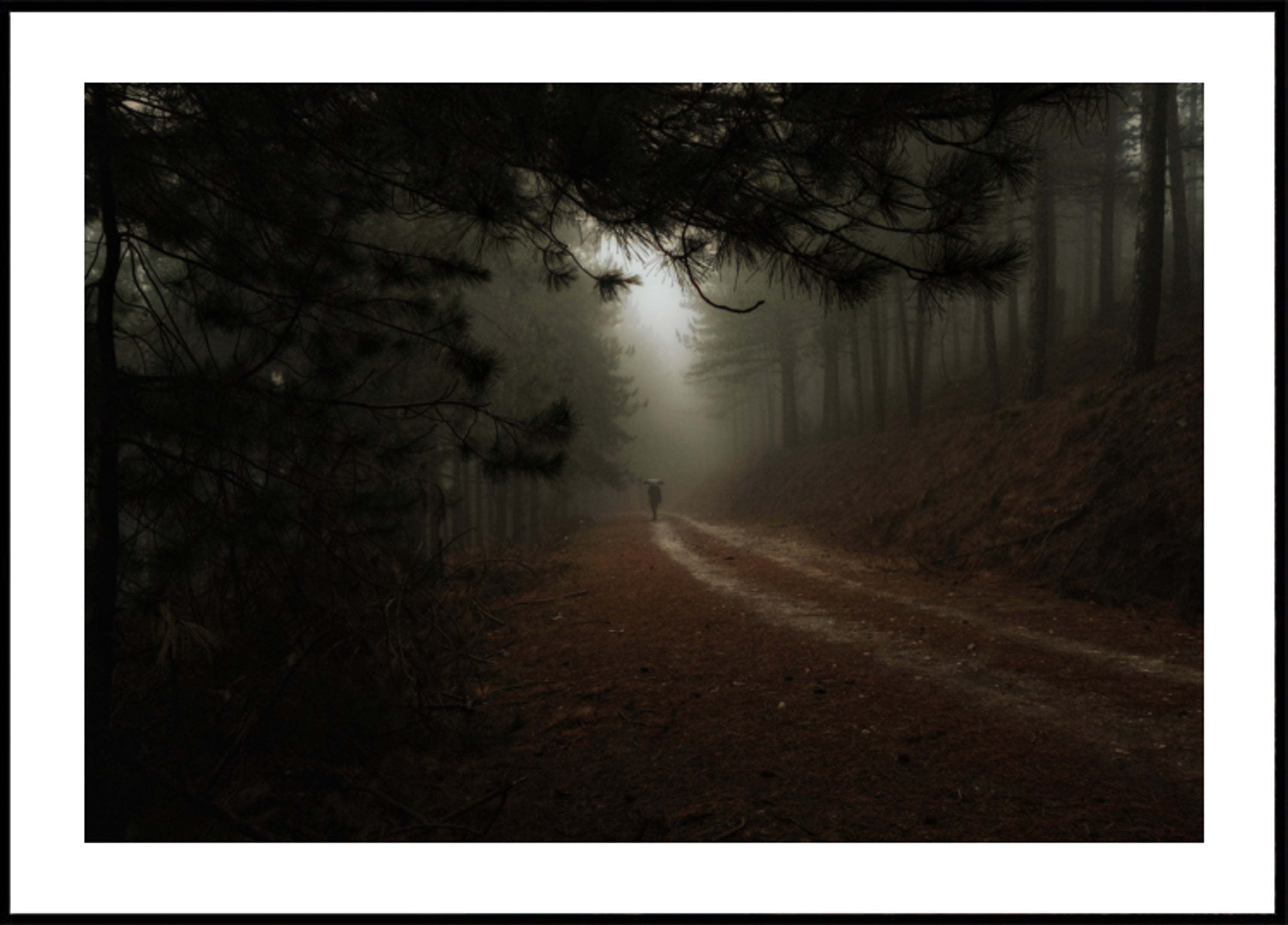 Caminho da Floresta Enevoada